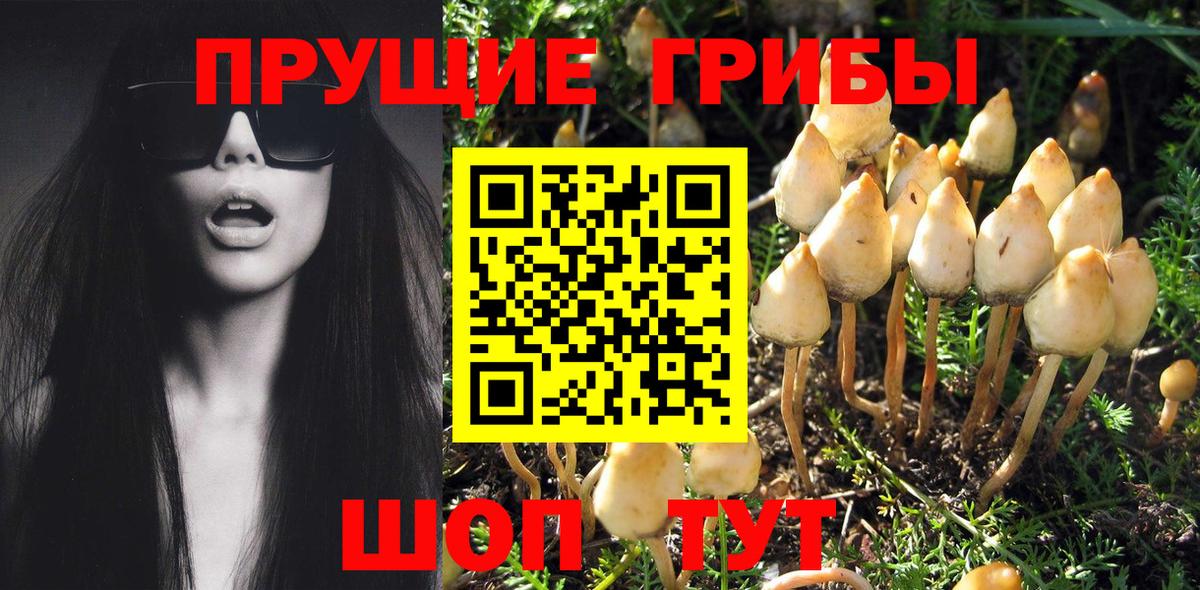 Галлюциногенные грибы ЛСД Звенигород